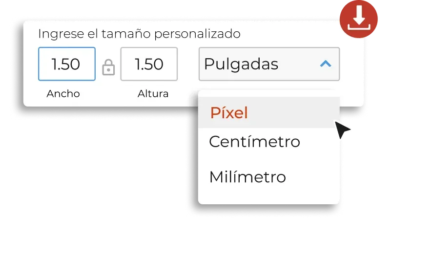 Exporte códigos QR en las dimensiones que elija.