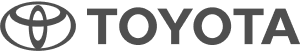 Toyota's logo showcased as an example of leading brands using Scanova for better reach.